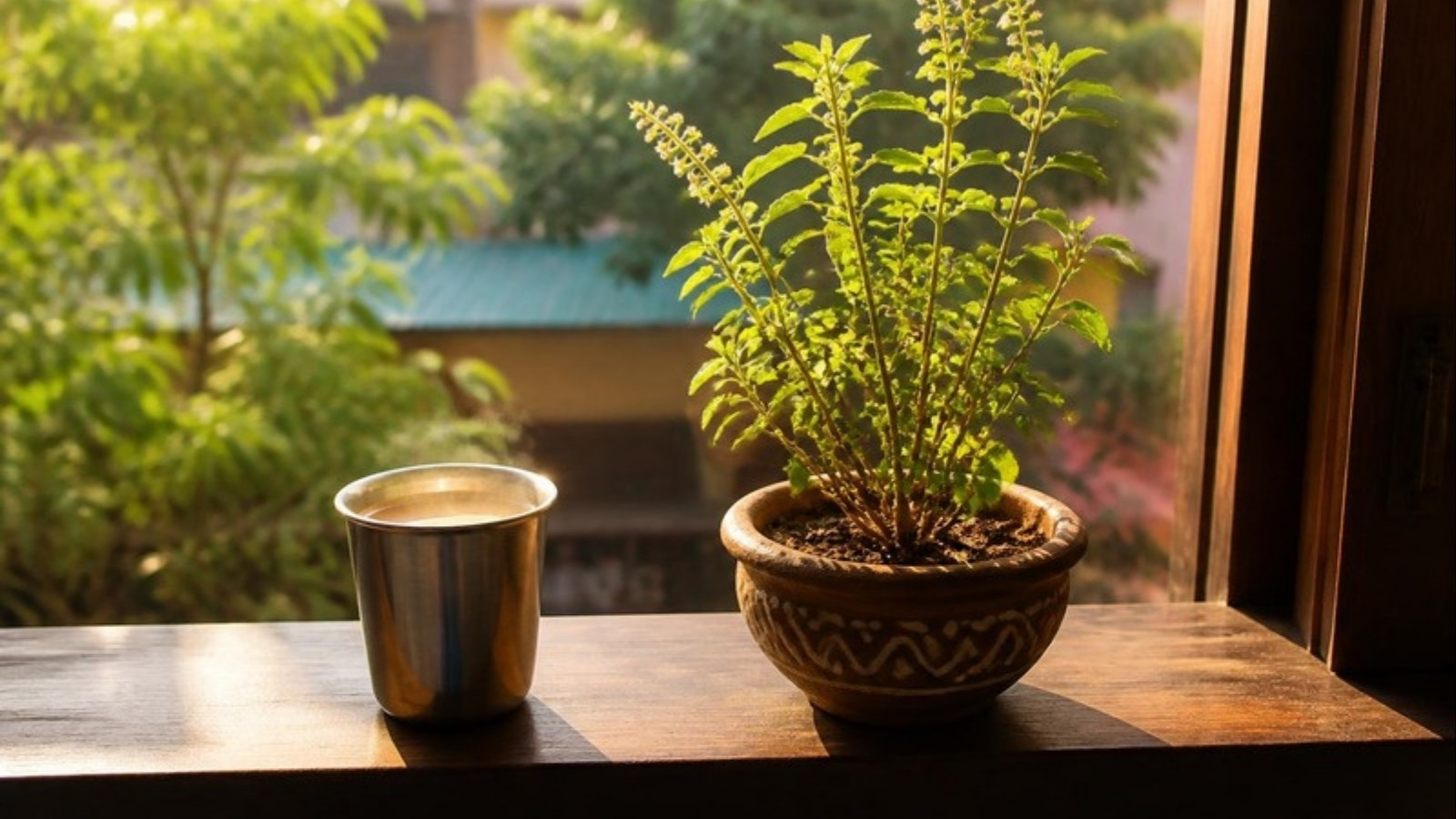 Morning sunlight on a window ledge with a steel cup of tea and a tulsi plant