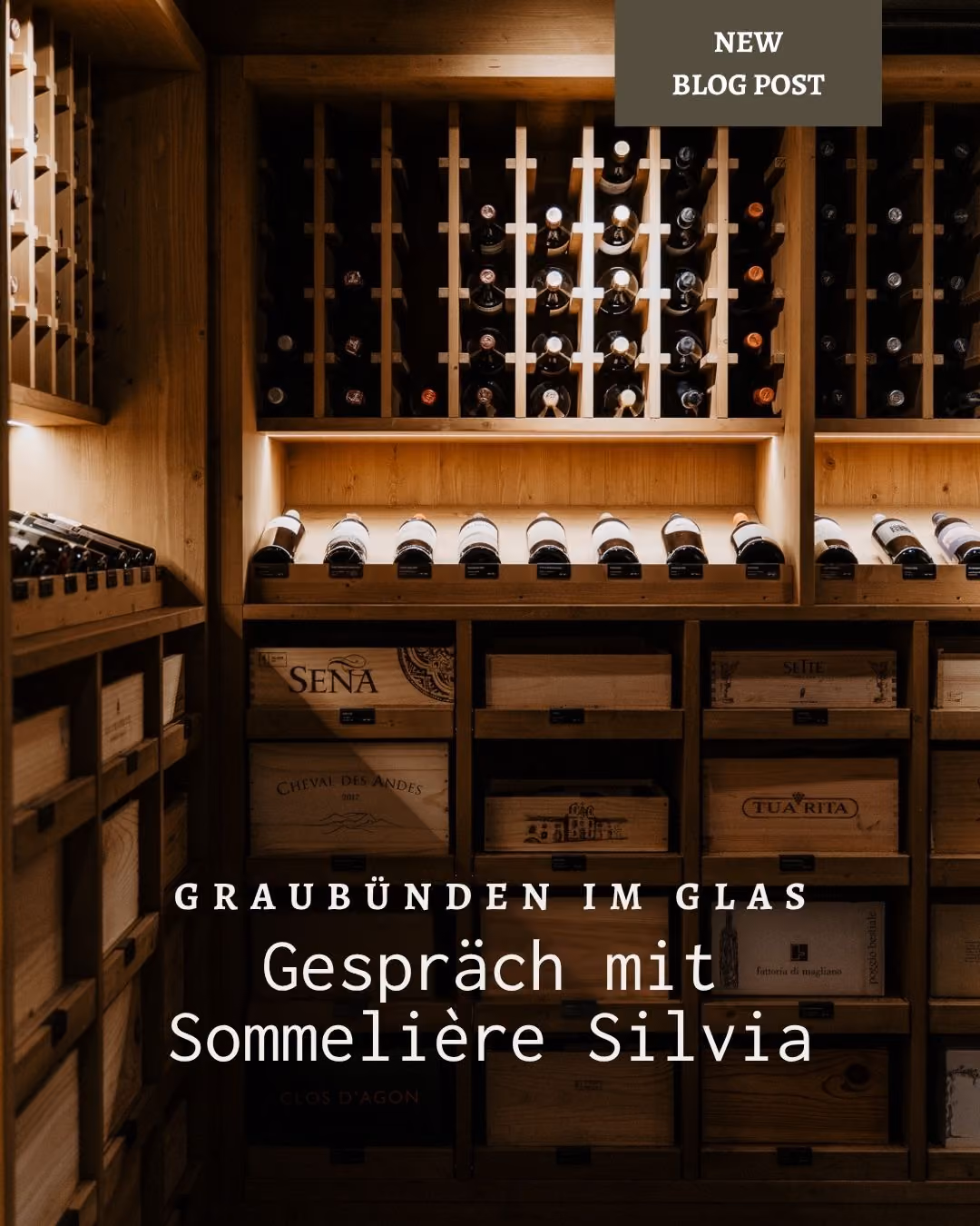 Weinkeller der Tgesa Romana in Savognin mit kuratierten Bündner Weinen