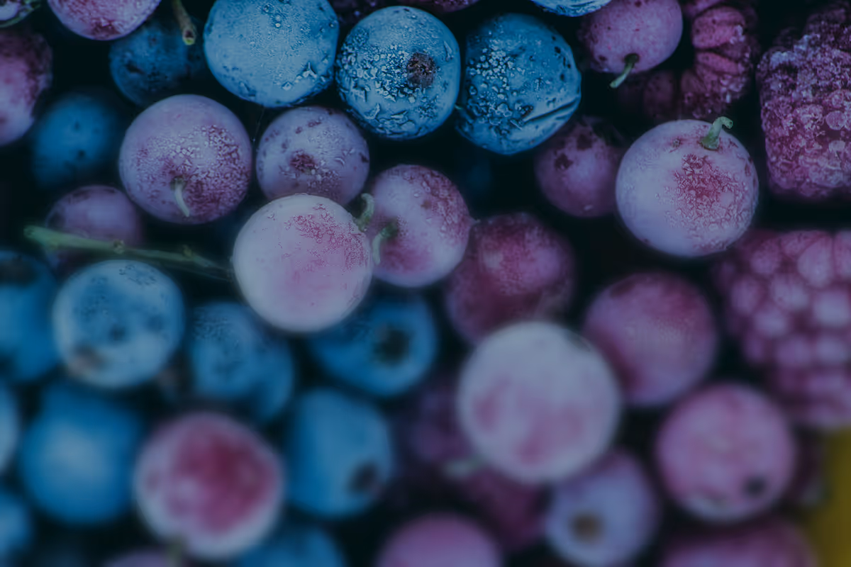 Hand holding a wooden crate filled with freshly picked blueberries and green leaves.
