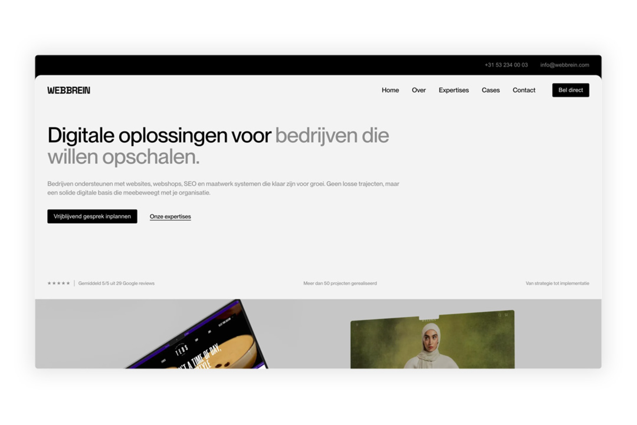 WebBrein - Website thumbnail