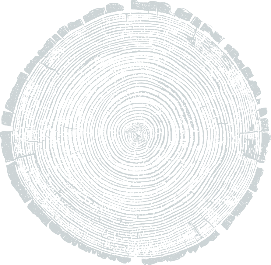 Close-up view of tree trunk cross-section showing multiple concentric growth rings and natural cracks.