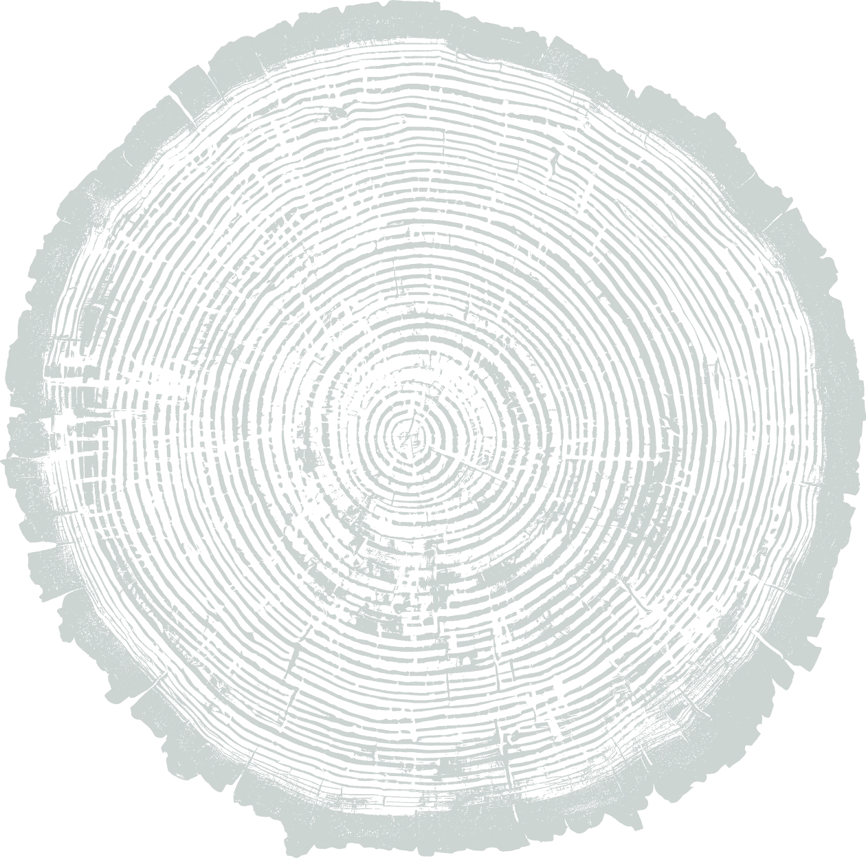 Cross-section of a tree trunk showing detailed growth rings and outer bark edges.