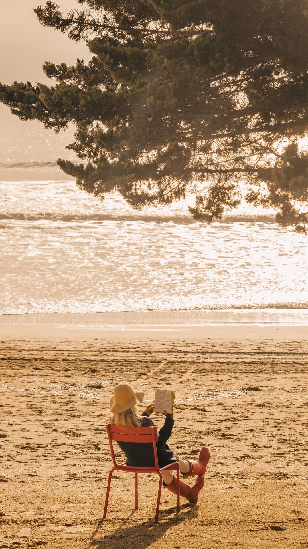 Une personne assise sur une chaise rouge lit un livre sur la plage, sous un grand pin, face à la mer.