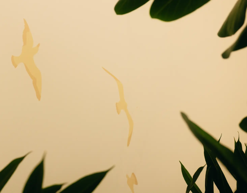 Plafond avec des oiseaux et du feuillage, qui fait écho à l'art de vivre élégant et léger de la côte bauloise.