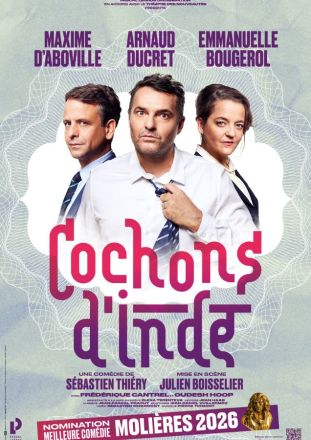 Affiche promotionnelle de la pièce de théâtre « Cochons d’Inde » de Sébastien Thiéry, dans une ambiance élégante, classée dans la catégorie humour, dans des tons roses et violets.