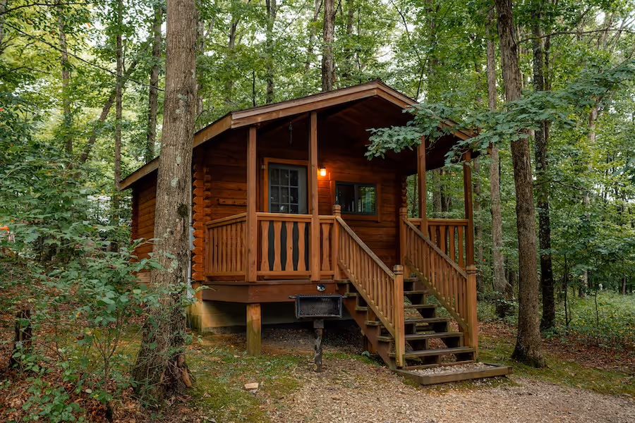 Small wooden cabin with front porch and stairs surrounded by green forest trees.