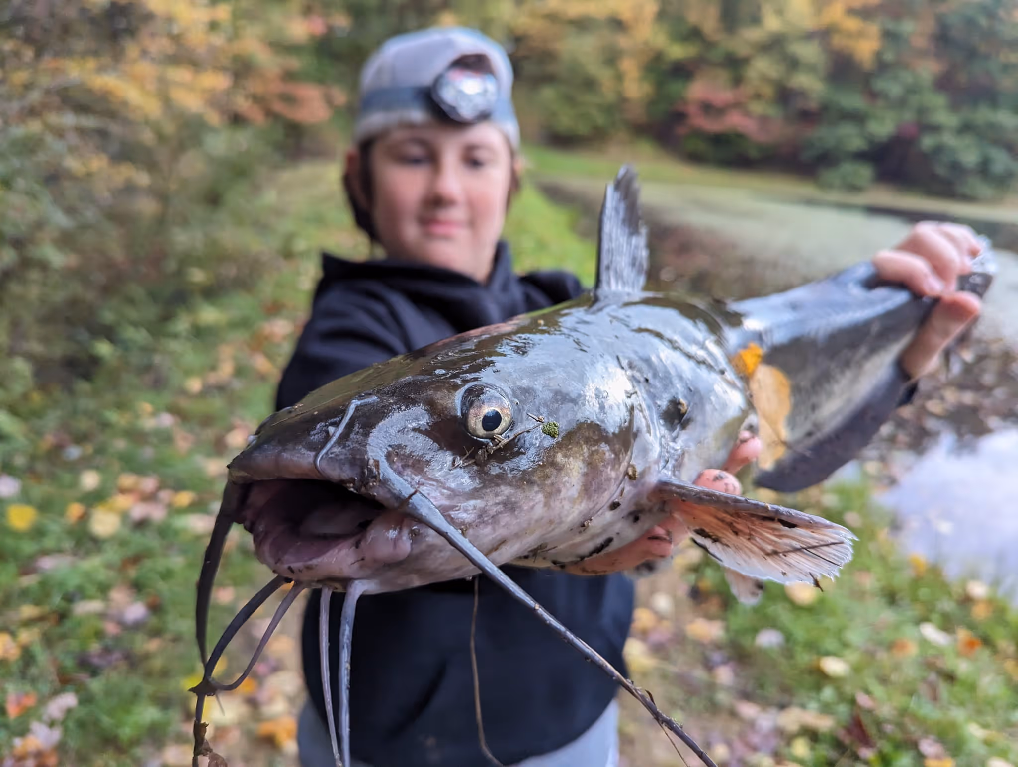 Person holding a large catfish with whiskers near a leafy outdoor pond.