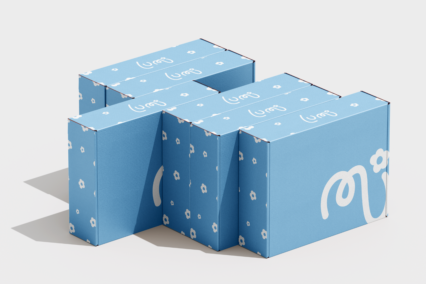 Packaging Design - Lumi