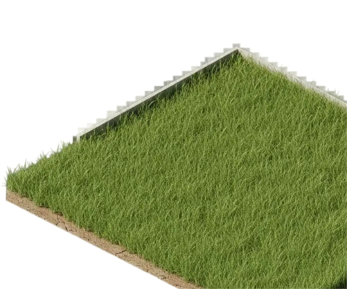 Isometric 3D rendering of a green grass patch