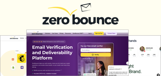 Zero Bounce case study