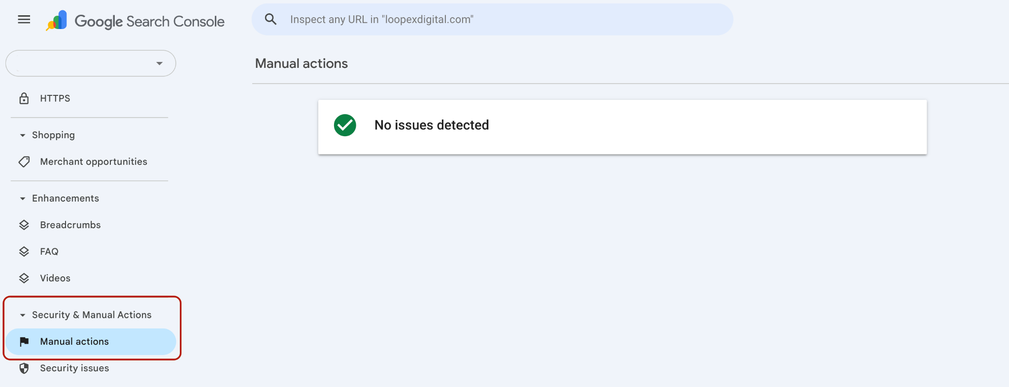 manual review on Google Search Console