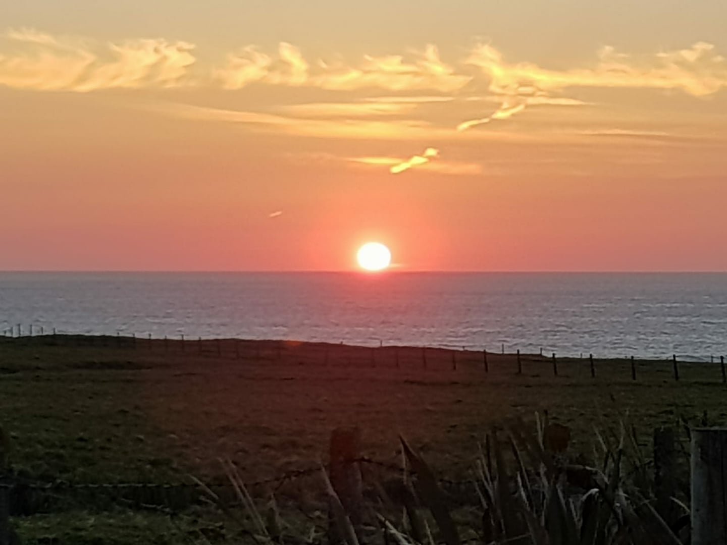 Sun setting over the ocean with a grassy field and fence in the foreground under a sky with wispy clouds.