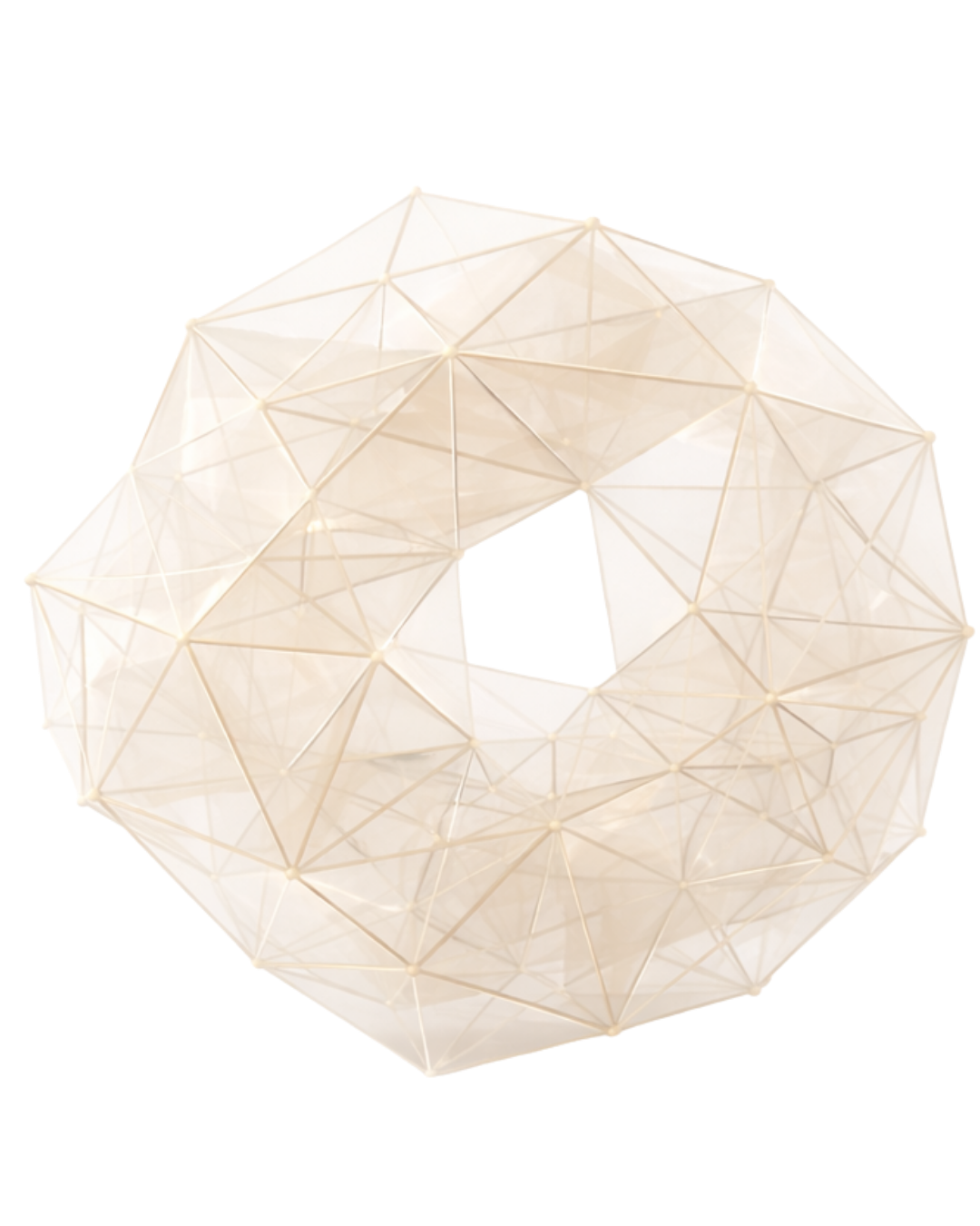 Transparente geometrische, torusförmige Skulptur aus dünnen Stäben und Netzen.