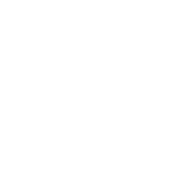 Social Media Strategie und mobile Kundeninteraktion für lokale Schweizer Marken.