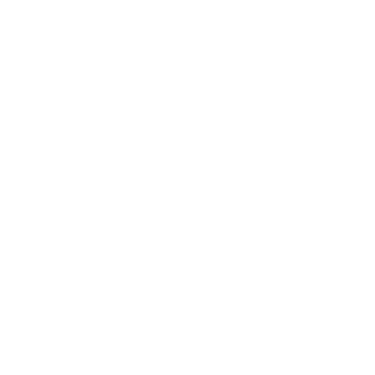 Detaillierte Prozessanalyse und Audit digitaler Geschäftsabläufe in der Deutschschweiz.