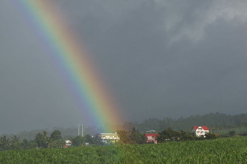 Image for the article: Should LGBT Couples Bother Buying Property? - Reflections