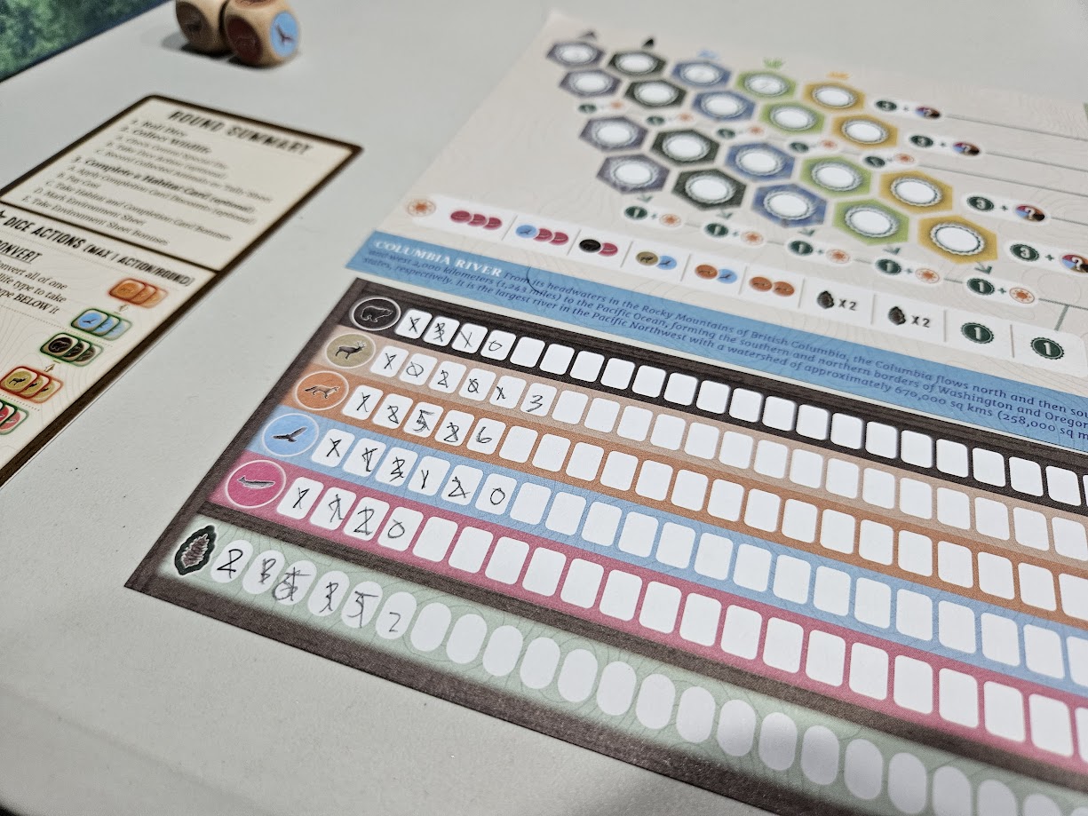 Gameplay photo of the board game Cascadia: Rolling Rivers featuring various components and board state.