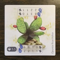 Component or upgrade image for Petrichor: Cactus, Lake & Fertilizer.
