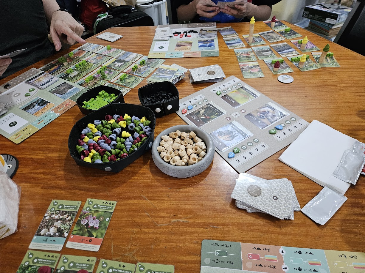 Gameplay photo of the board game Earth featuring various components and board state.