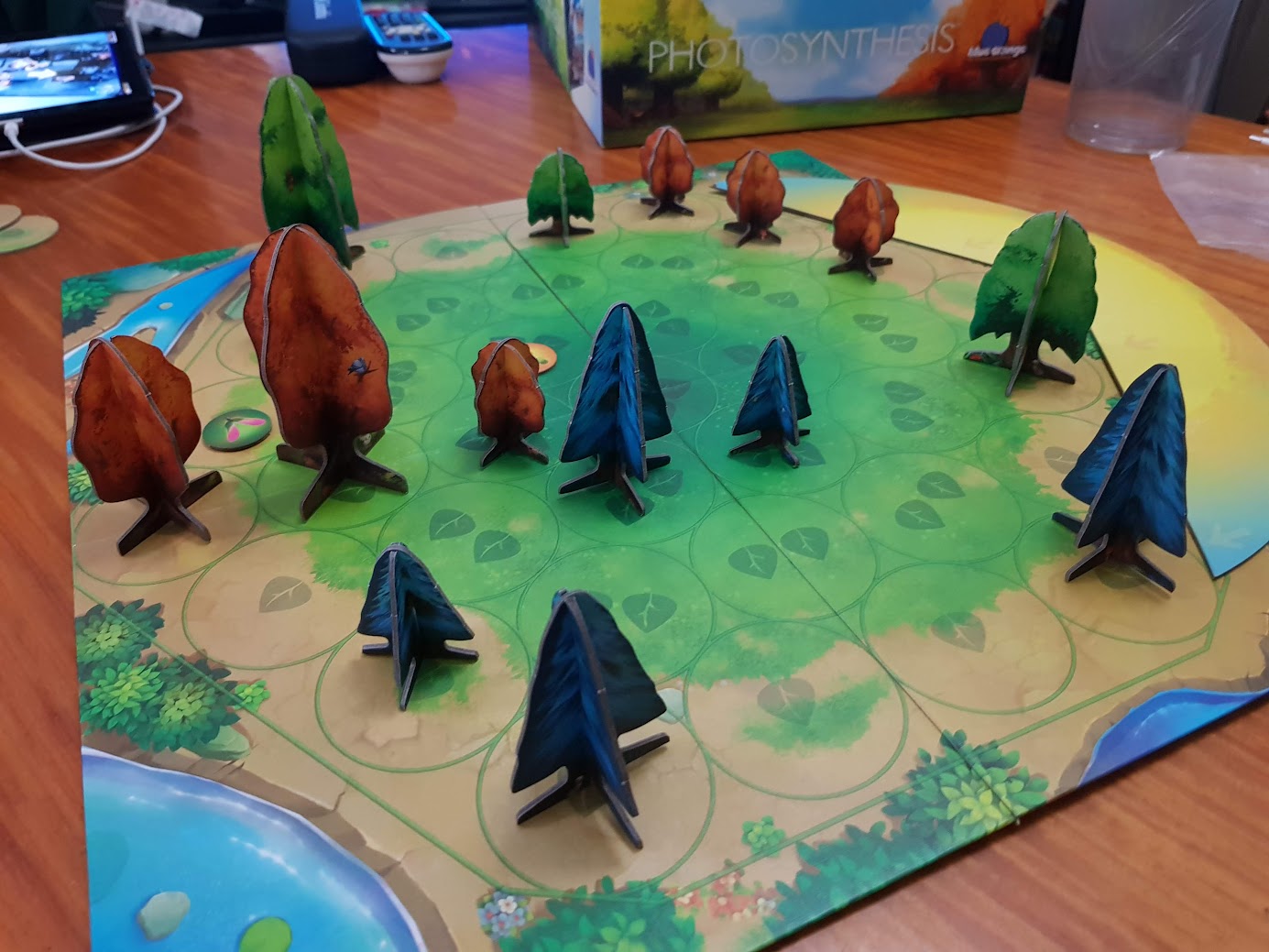 Gameplay photo of the board game Photosynthesis featuring various components and board state.