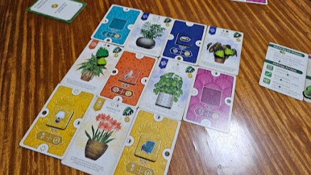 Verdant gameplay photo