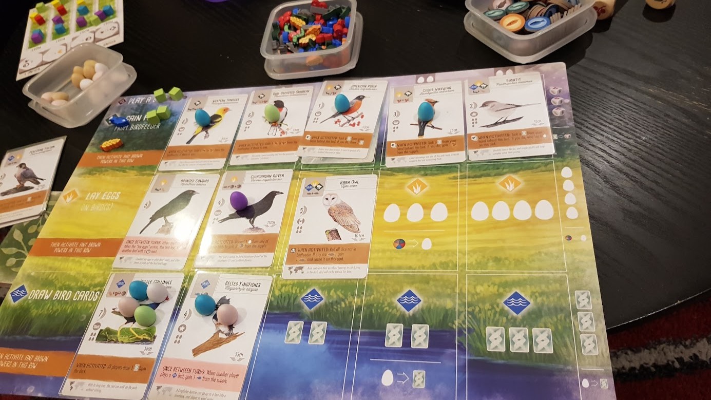 Gameplay photo of the board game Wingspan featuring various components and board state.