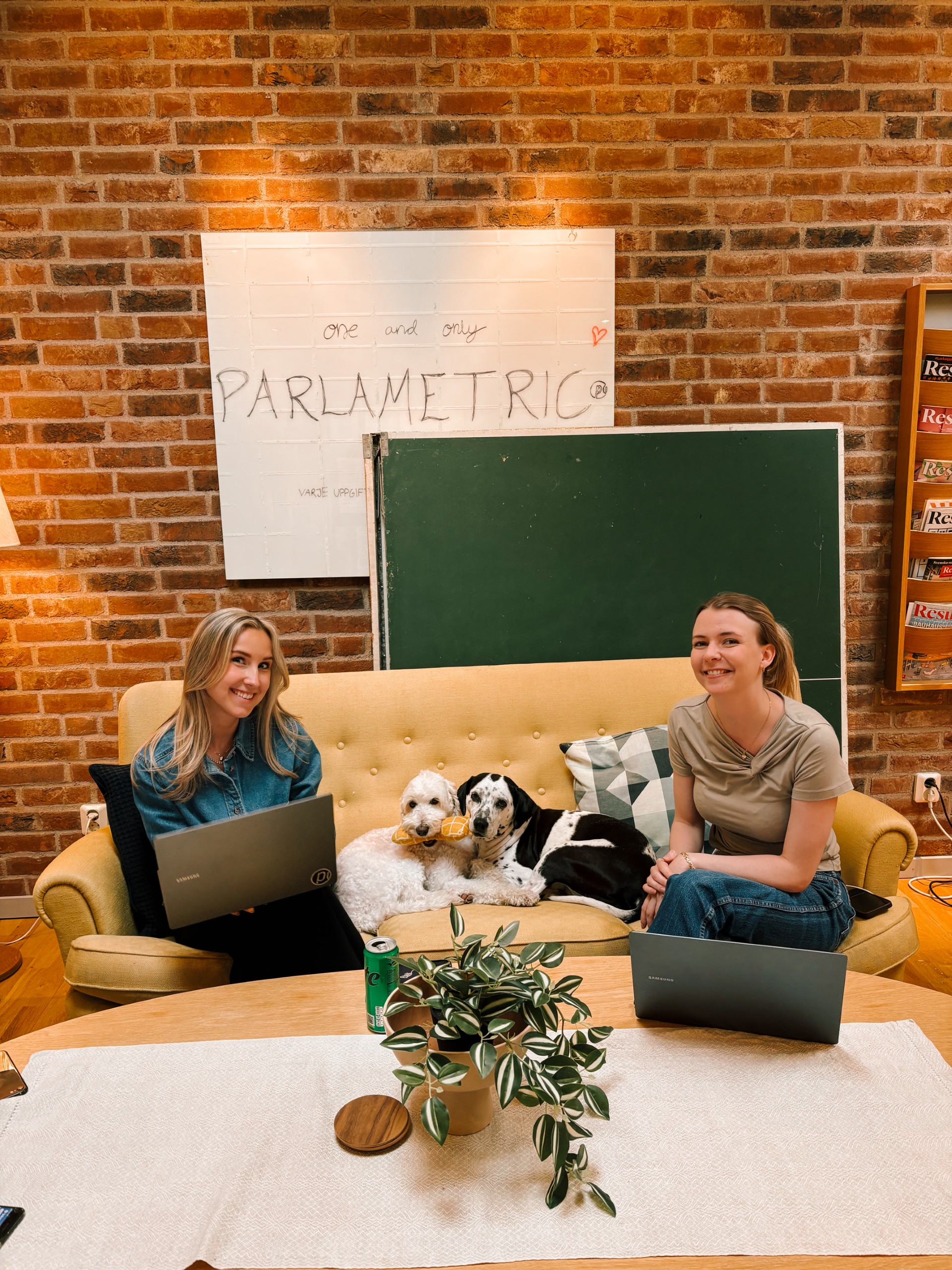 Parlametrics ledningsgrupp i möte