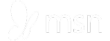 MSN logo