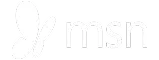 MSN logo