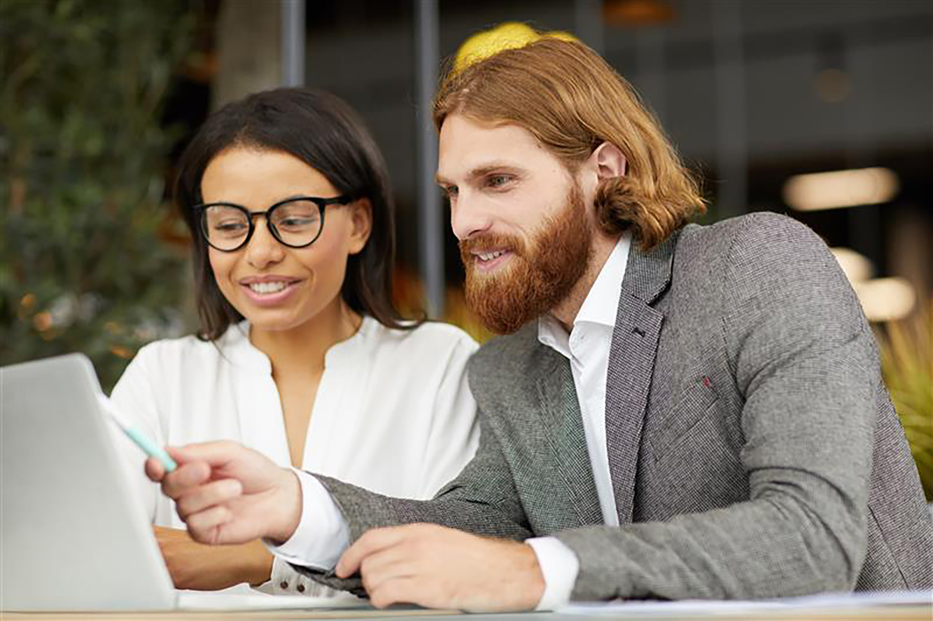 Green-Gecko-Sector-Accountants-2