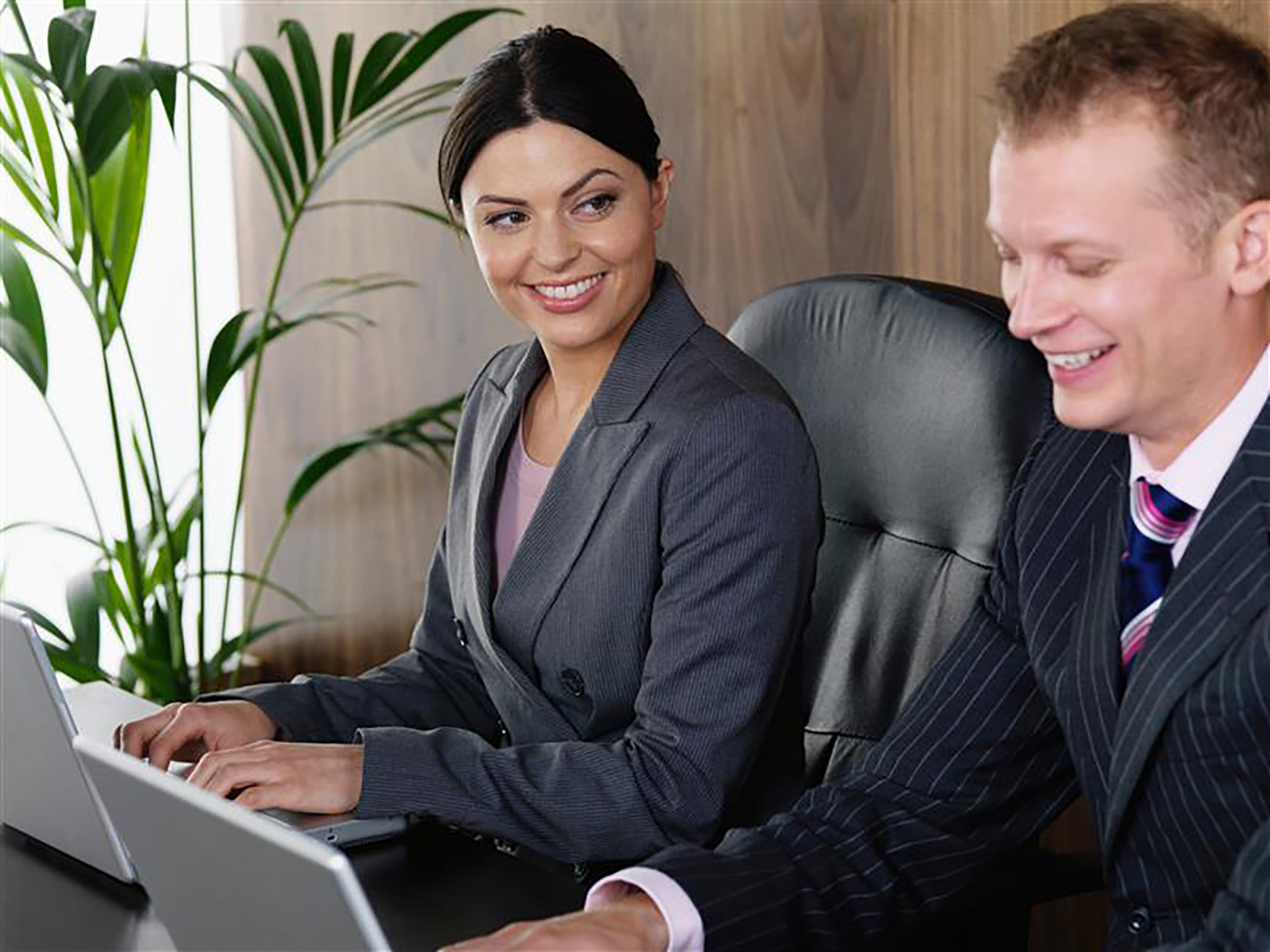 Green-Gecko-Sector-Solicitors-2