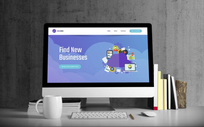 Buzz Data website development
