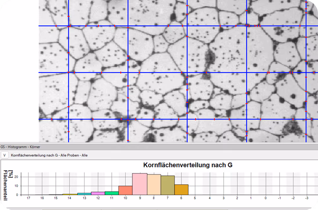 Bildanalyse Software für Mikroskope, Kornflächenverteilung nach G