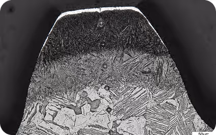 Bildanalyse Software für Mikroskope, Probenfoto Stahl