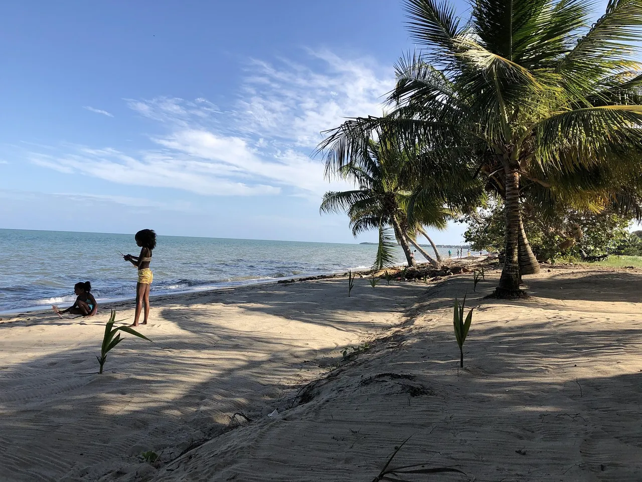 Two children playing on a sandy beach with palm trees along the shoreline.