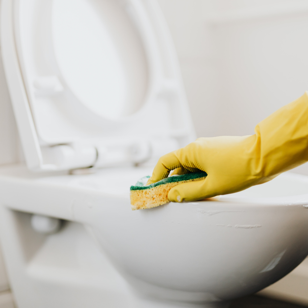 DC Business Airbnb Cleaning Bonaire
