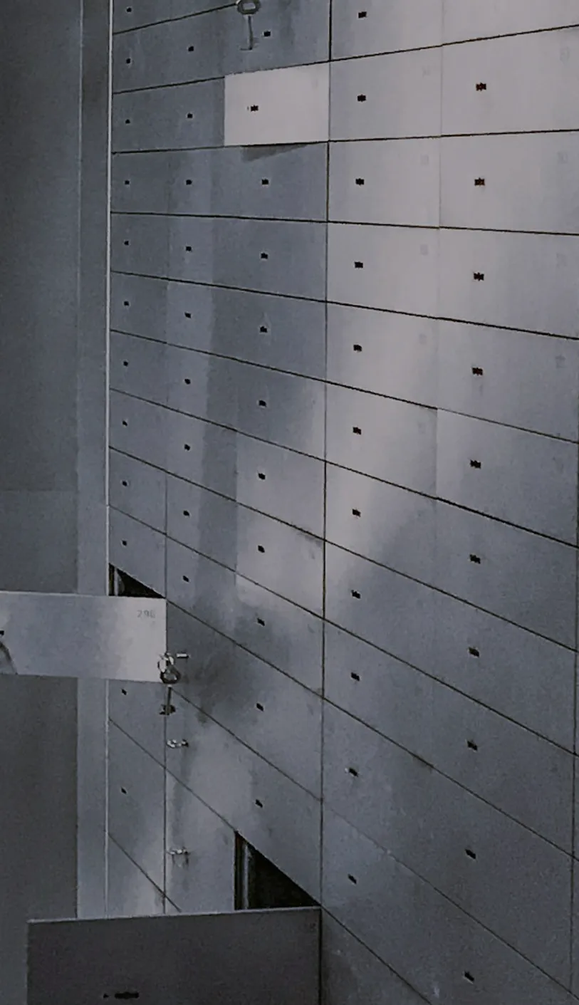 Structural protection of assets and ownership