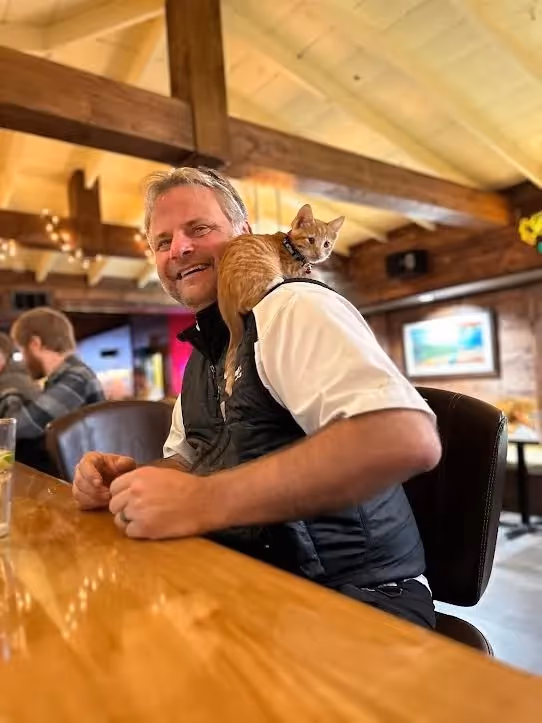 A man with a cat on his back sitting at a bar.