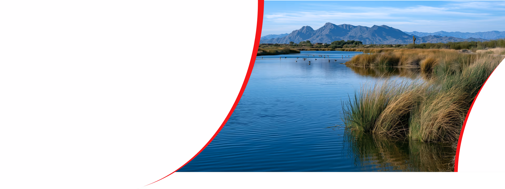 Managed IT services in Gilbert helping businesses improve security, efficiency, uptime, and long-term growth
