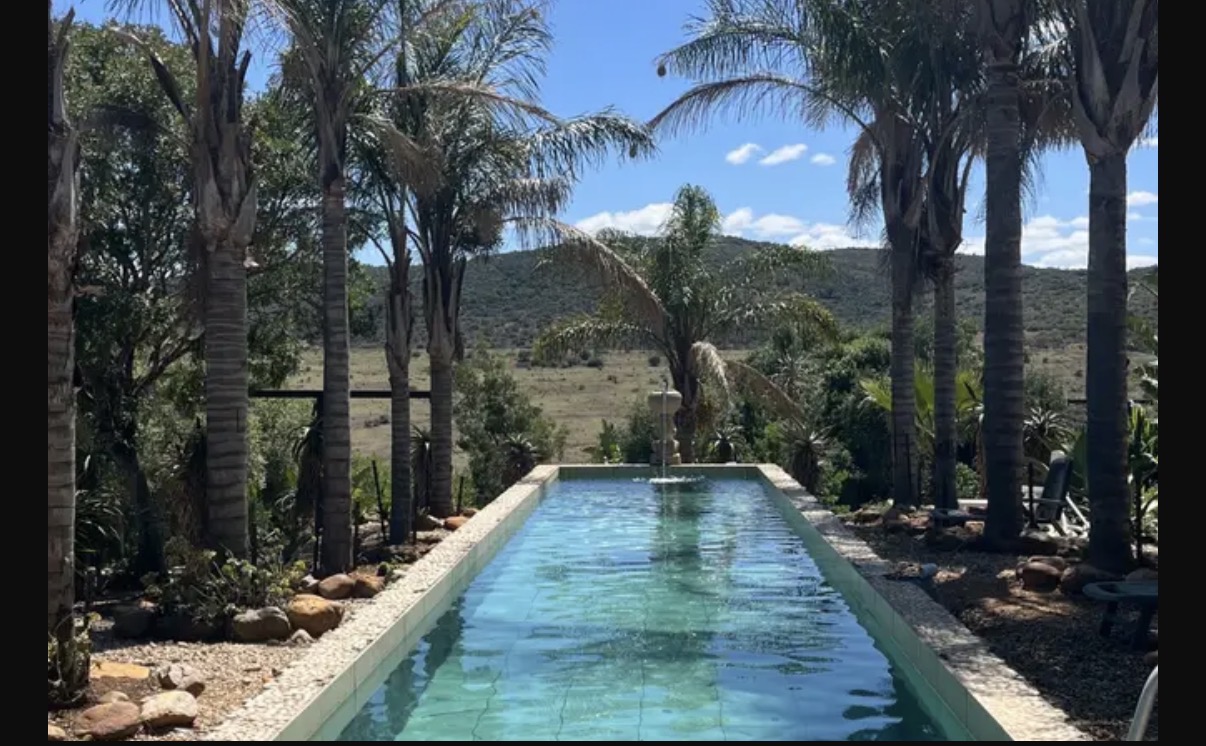 Long rectangular pool surrounded by palm trees and a scenic mountainous landscape under blue sky.