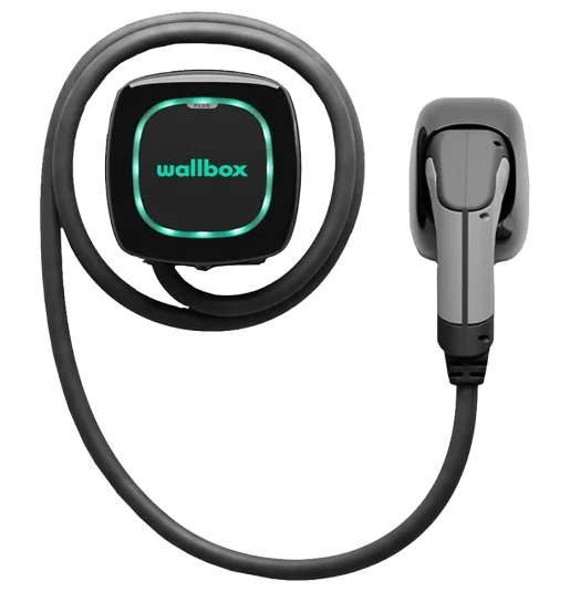 Hond zet kers op de taart