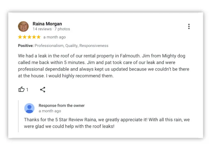 how to respond to google reviews - example of response to positive review