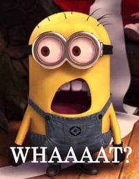 minion what meme