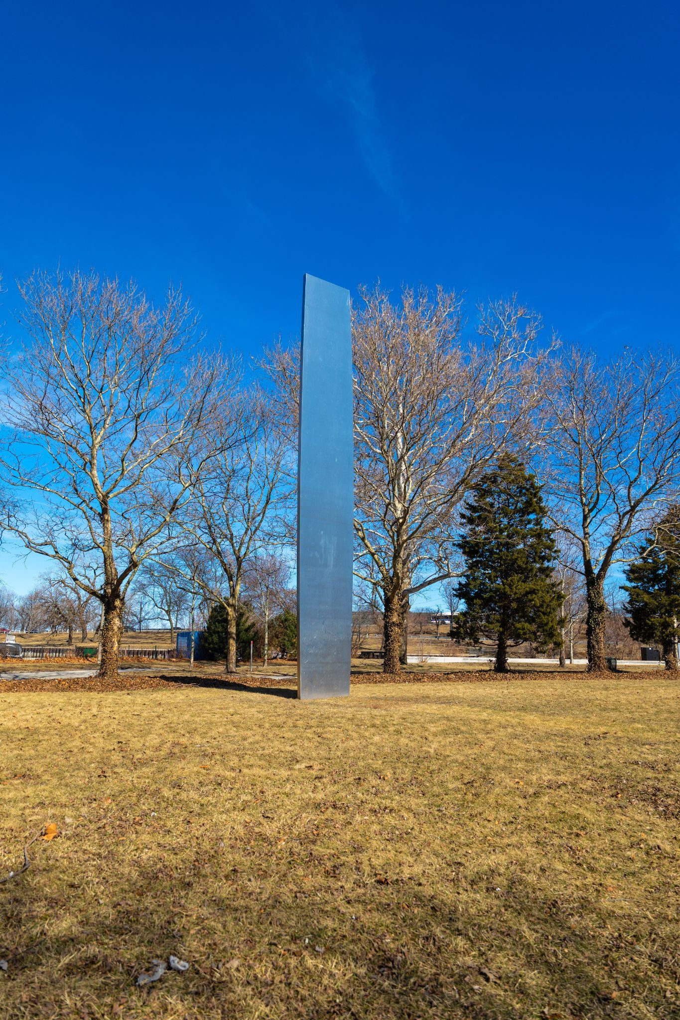 Curve XXII sculpture by Ellsworth Kelly in Lincoln Park Chicago
