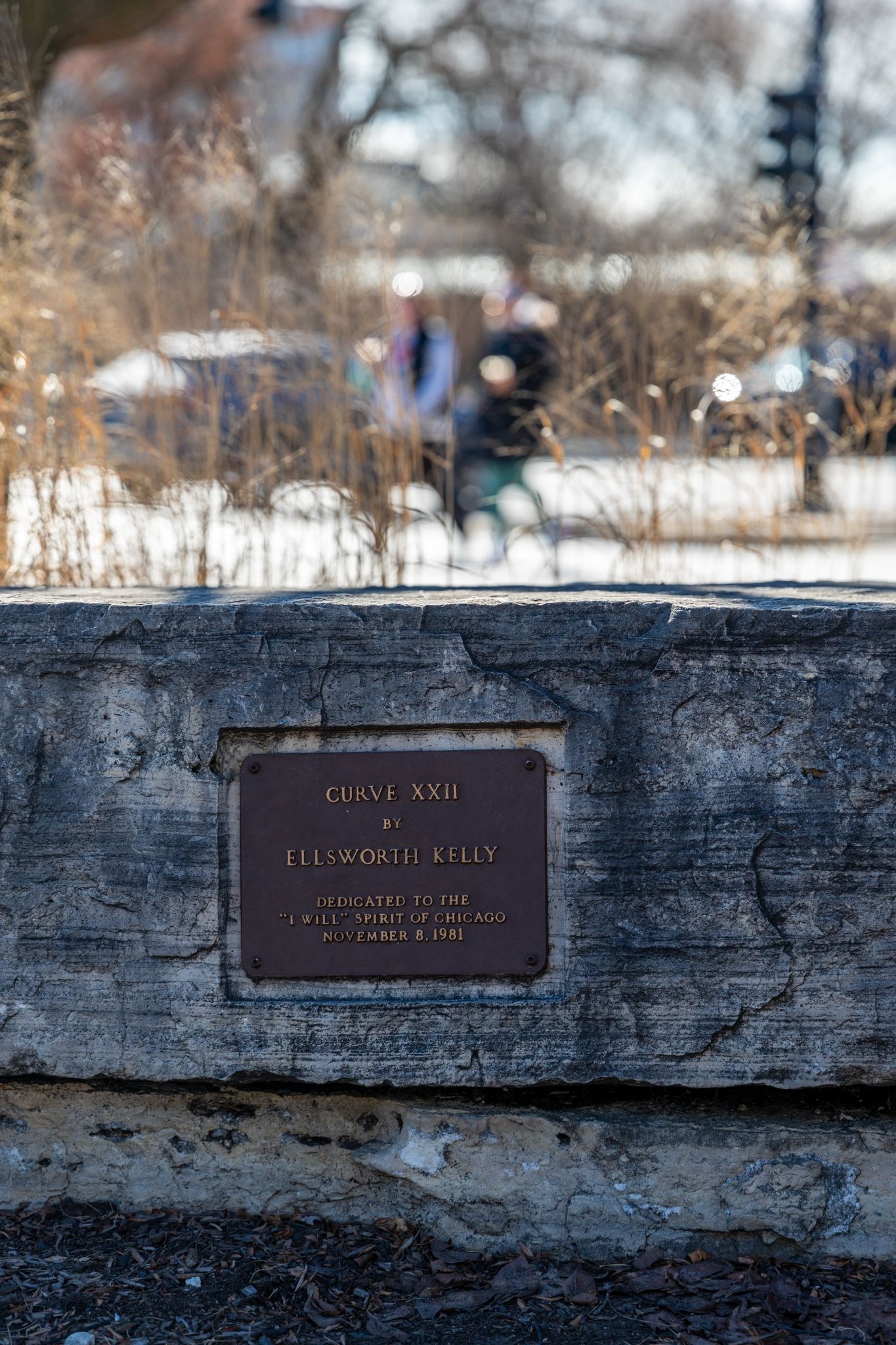 Plaque indicating the Curve XXII sculpture in Lincoln Park Chicago