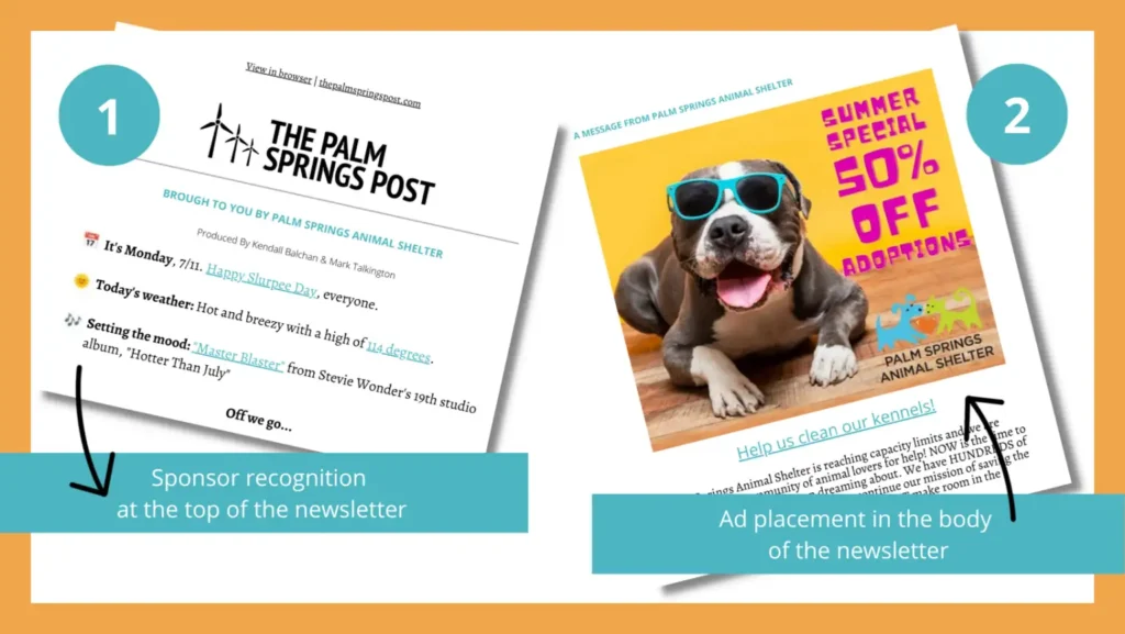 Screenshot of The Palm Springs Post's advertising landing page shows two options for newsletter sponsorship.