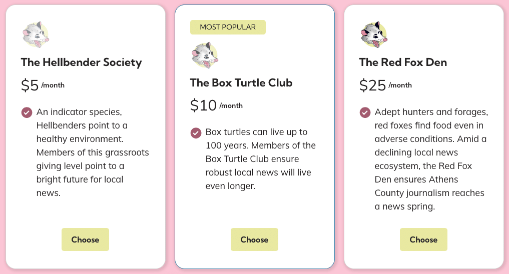 A screenshot of Athens County Independent's strategic pricing table. 