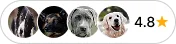 DogBase Ratings