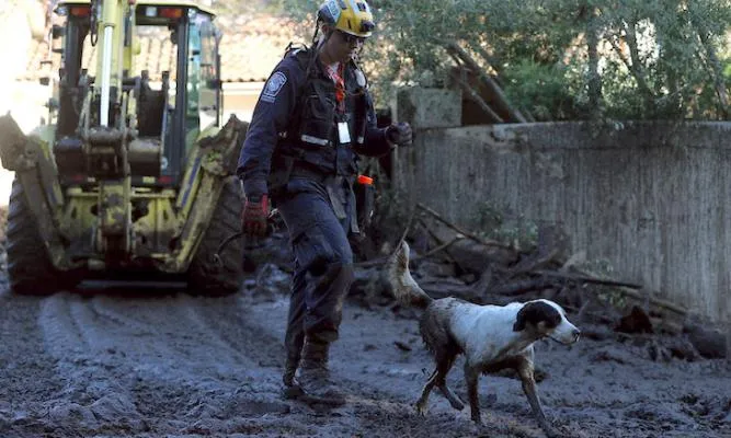 Real-World Examples: SAR Teams in Action