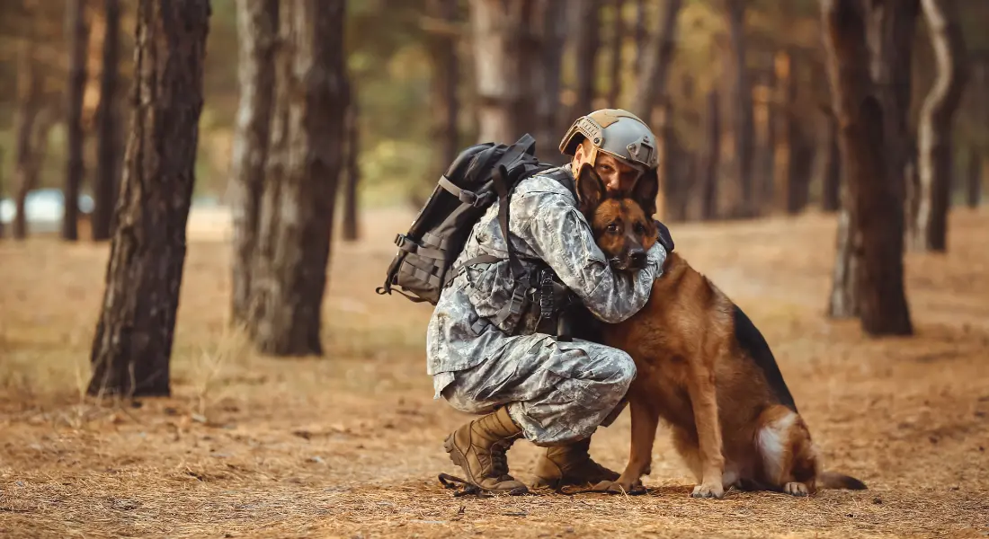 Army dog